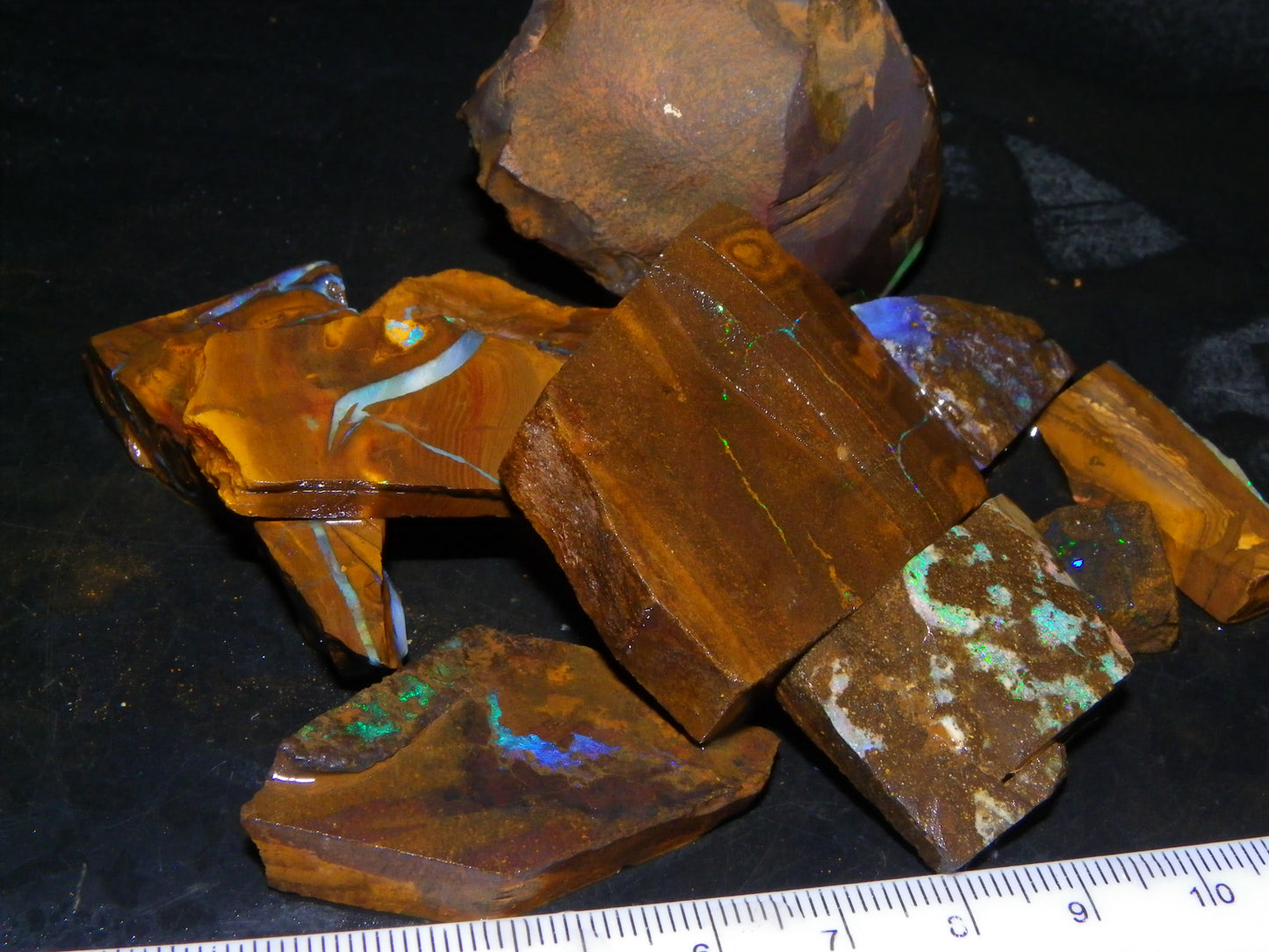 Nice Rubbed/Rough/Sliced Boulder Opals 1385cts Some Veins/Fires Green/Blues