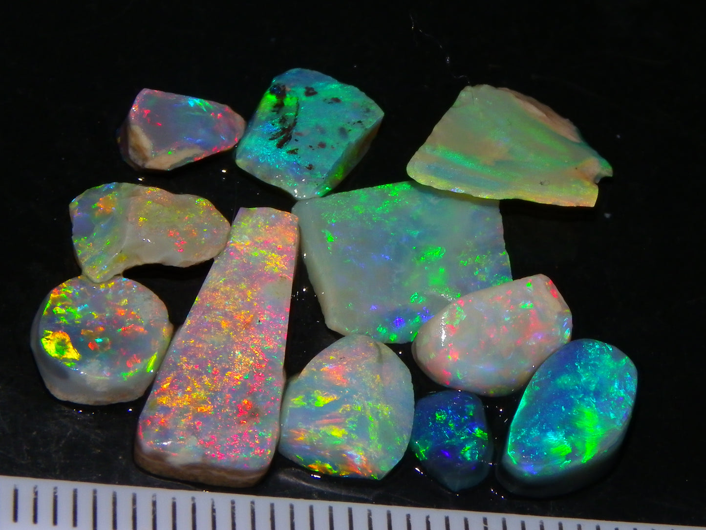 Bright Rubbed Lightning Ridge/Mintabie Opals 12.5cts Multicolour Fires Australia