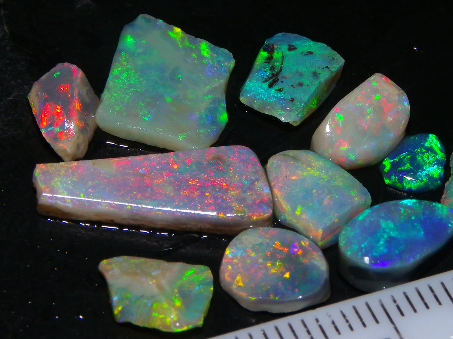 Bright Rubbed Lightning Ridge/Mintabie Opals 12.5cts Multicolour Fires Australia