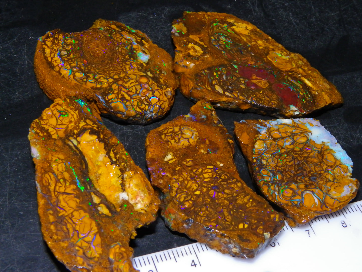 5 Nice Rough/Sliced Koroit Opals Queensland Australia 376cts Patterns/Fires