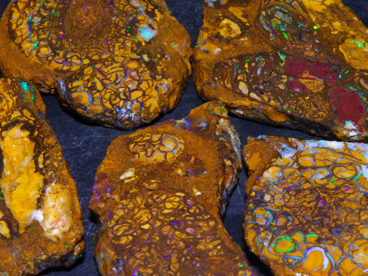 5 Nice Rough/Sliced Koroit Opals Queensland Australia 376cts Patterns/Fires