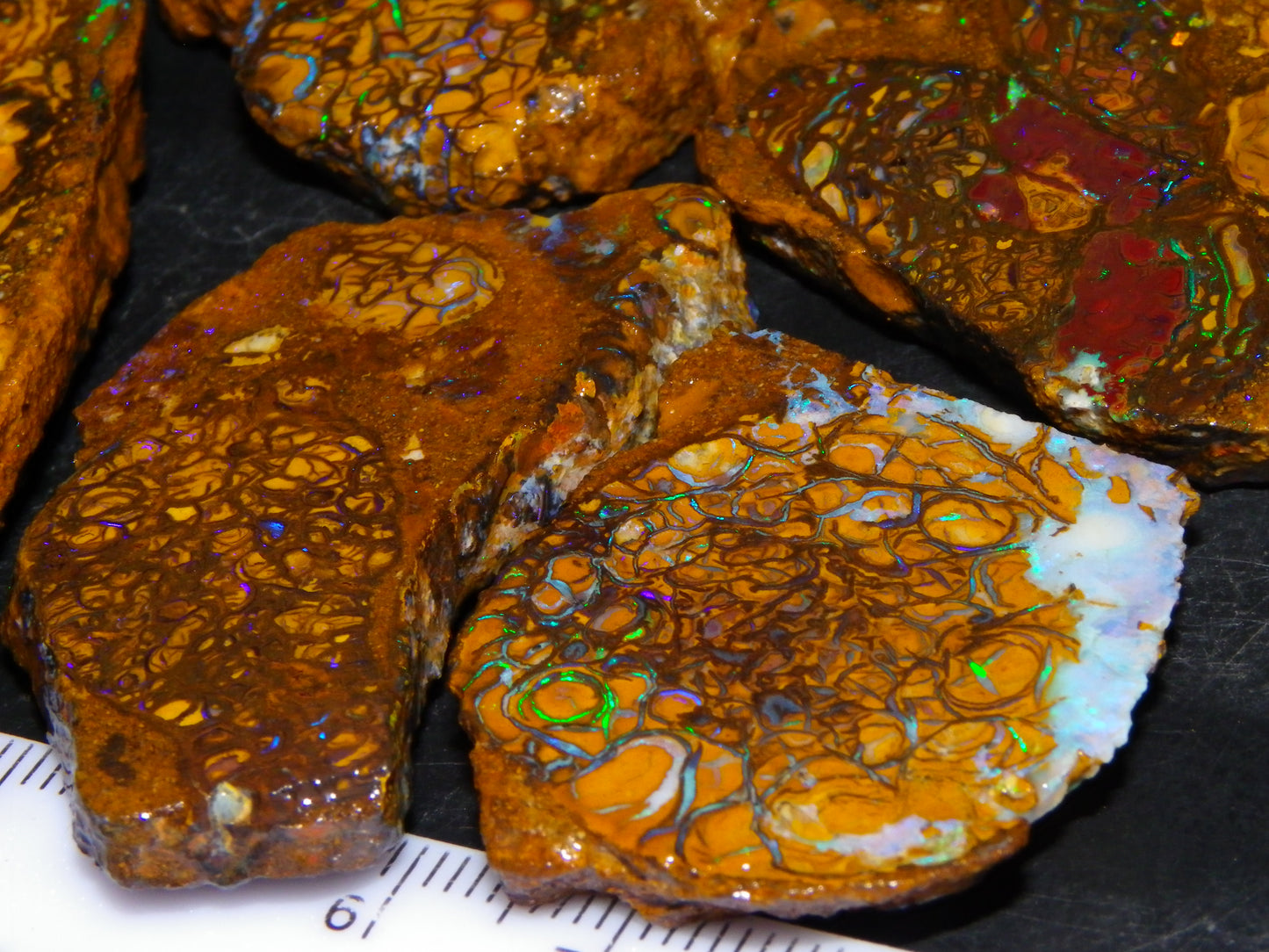 5 Nice Rough/Sliced Koroit Opals Queensland Australia 376cts Patterns/Fires