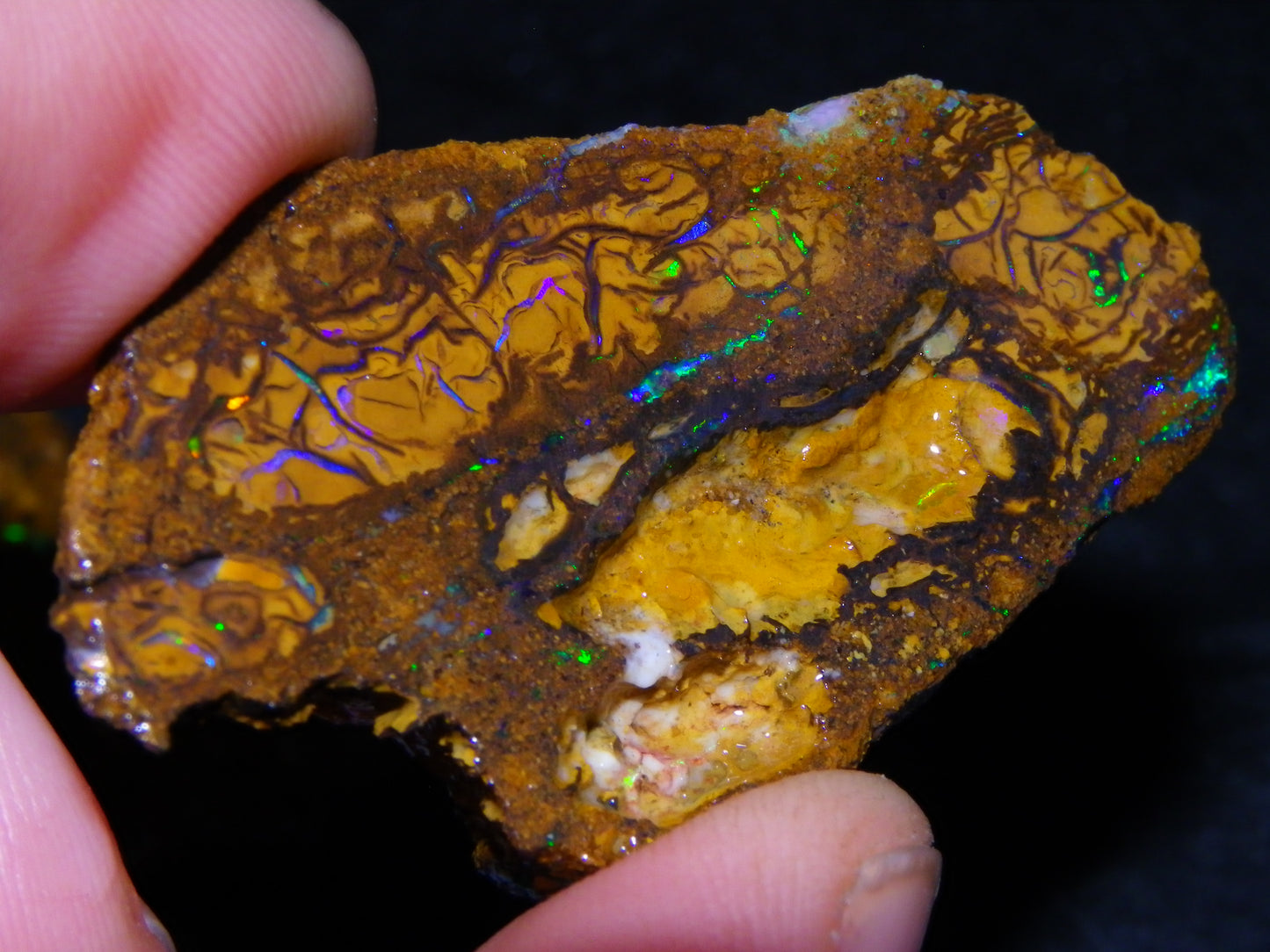 5 Nice Rough/Sliced Koroit Opals Queensland Australia 376cts Patterns/Fires