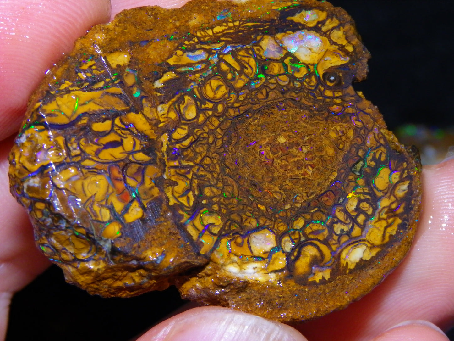 5 Nice Rough/Sliced Koroit Opals Queensland Australia 376cts Patterns/Fires