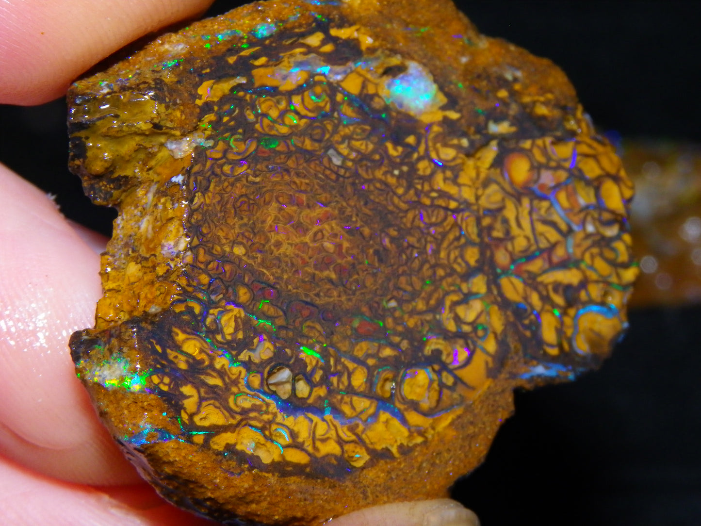 5 Nice Rough/Sliced Koroit Opals Queensland Australia 376cts Patterns/Fires