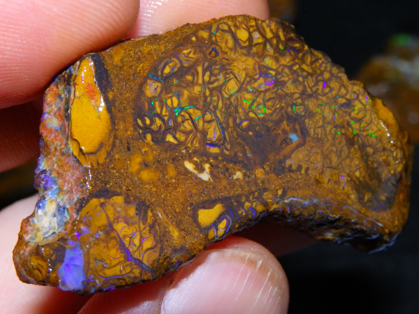 5 Nice Rough/Sliced Koroit Opals Queensland Australia 376cts Patterns/Fires