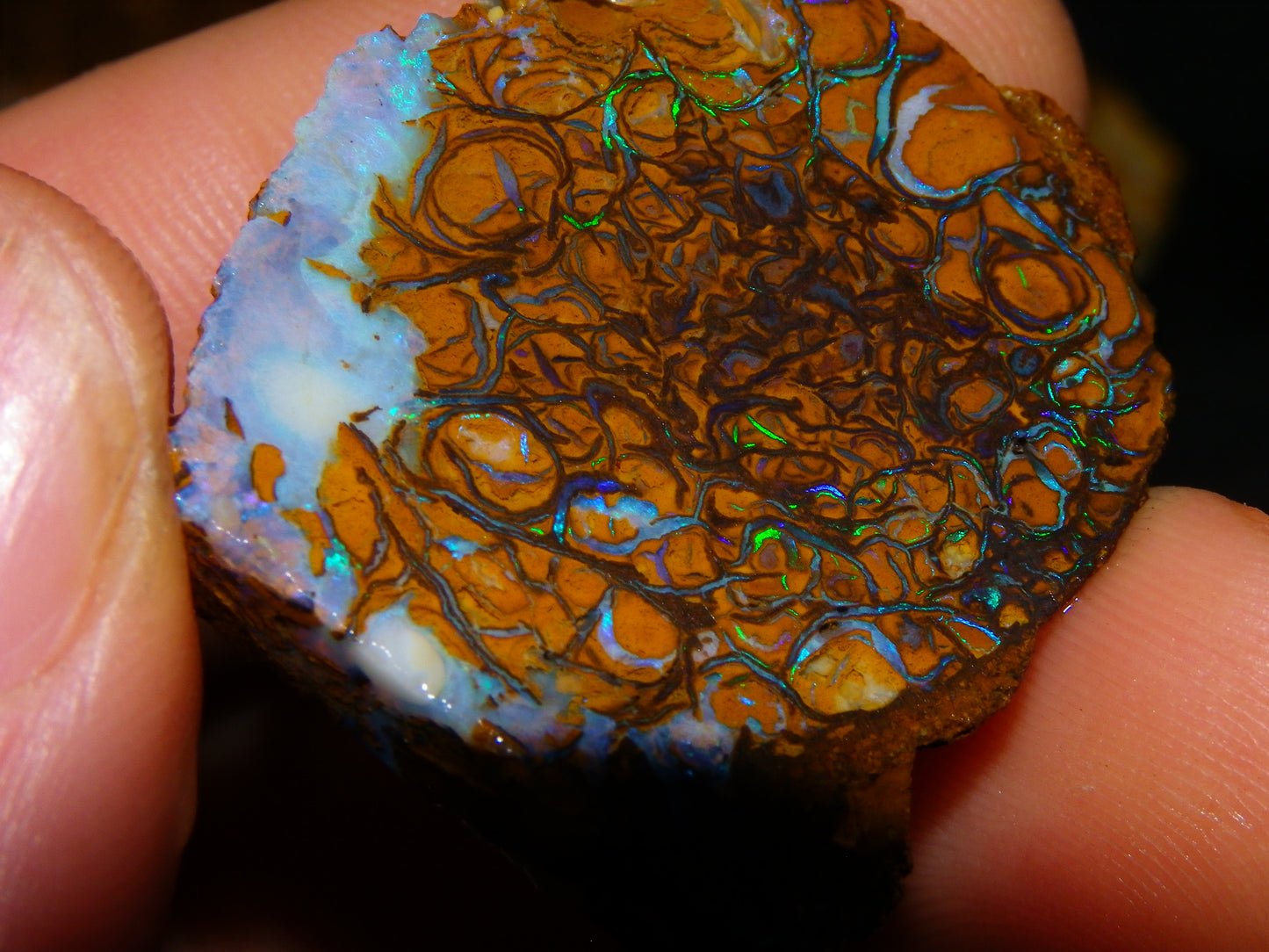 5 Nice Rough/Sliced Koroit Opals Queensland Australia 376cts Patterns/Fires