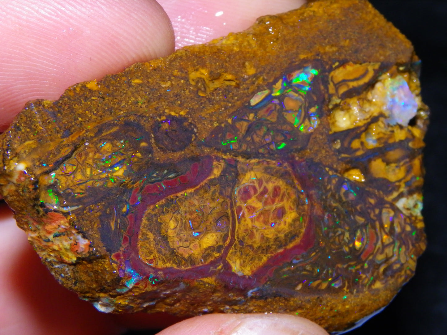 5 Nice Rough/Sliced Koroit Opals Queensland Australia 376cts Patterns/Fires