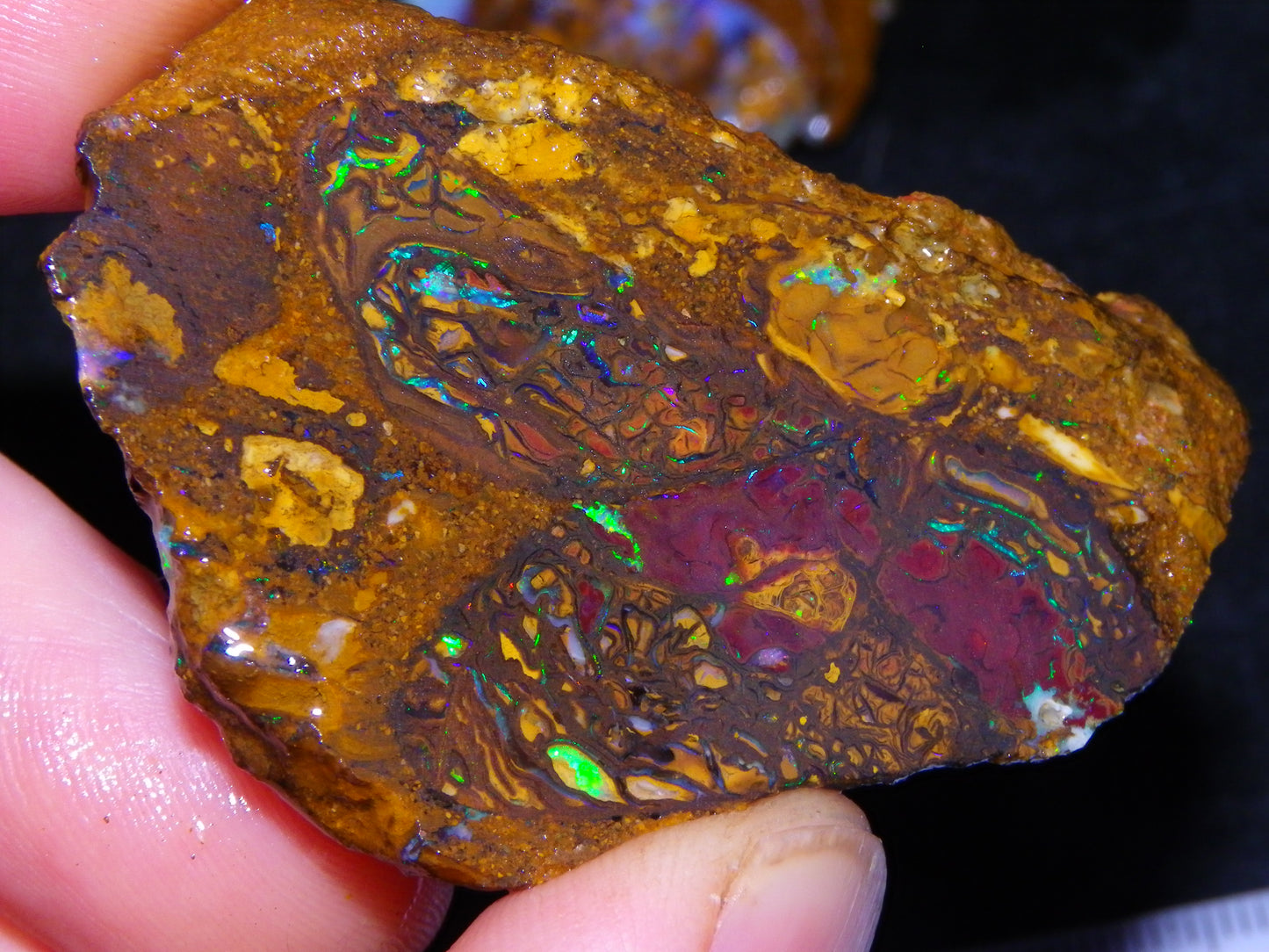 5 Nice Rough/Sliced Koroit Opals Queensland Australia 376cts Patterns/Fires