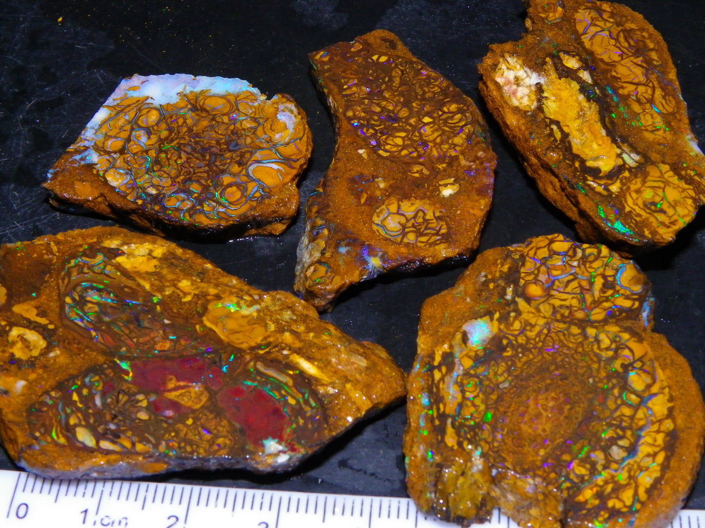 5 Nice Rough/Sliced Koroit Opals Queensland Australia 376cts Patterns/Fires