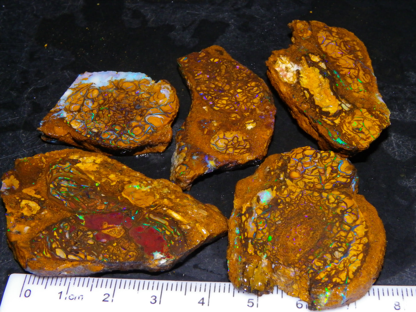 5 Nice Rough/Sliced Koroit Opals Queensland Australia 376cts Patterns/Fires