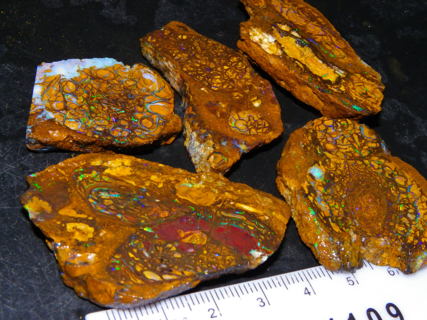 5 Nice Rough/Sliced Koroit Opals Queensland Australia 376cts Patterns/Fires