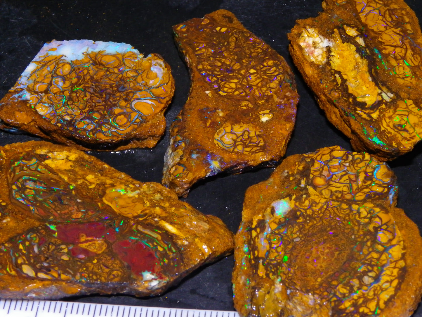 5 Nice Rough/Sliced Koroit Opals Queensland Australia 376cts Patterns/Fires