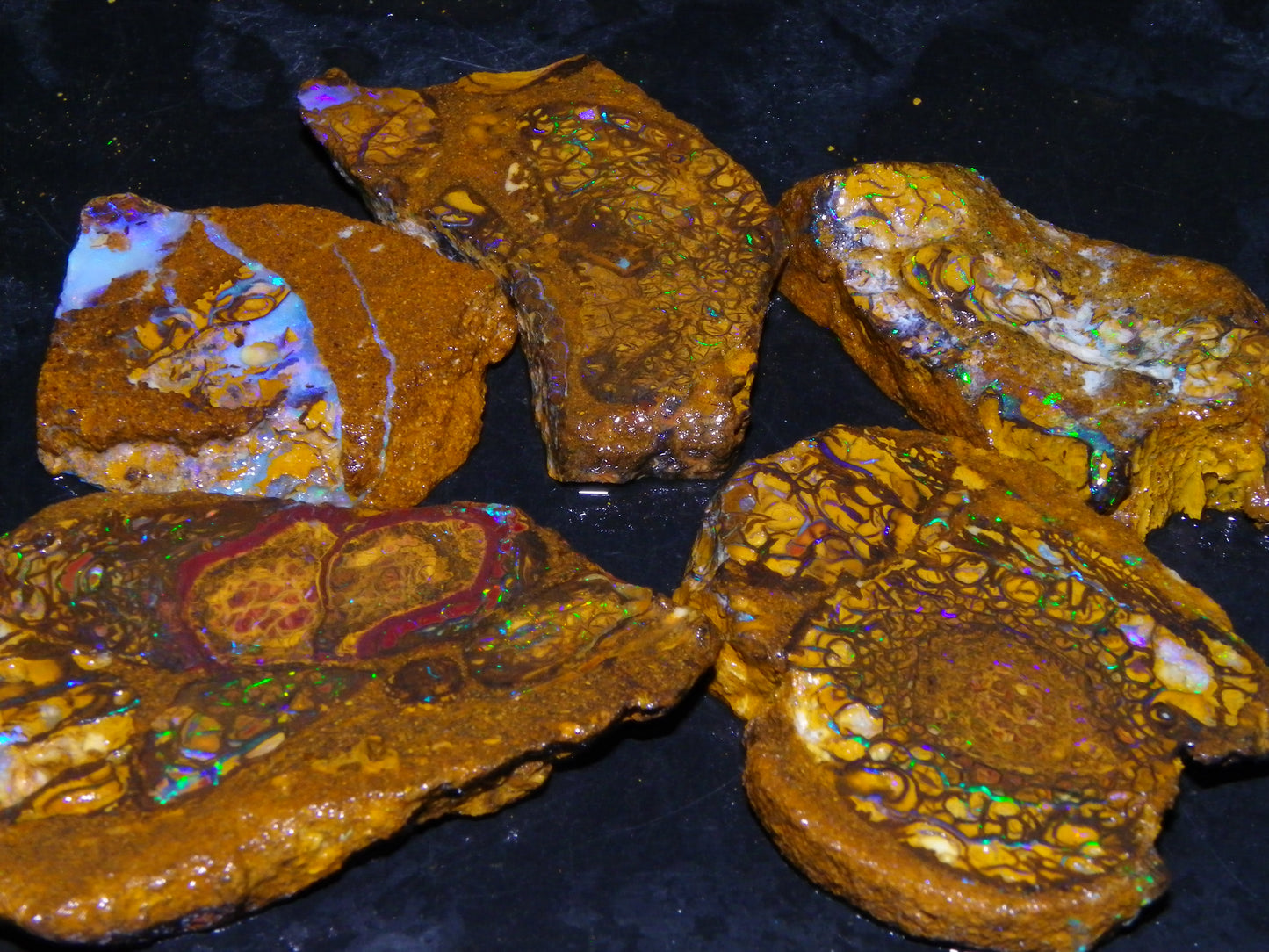 5 Nice Rough/Sliced Koroit Opals Queensland Australia 376cts Patterns/Fires