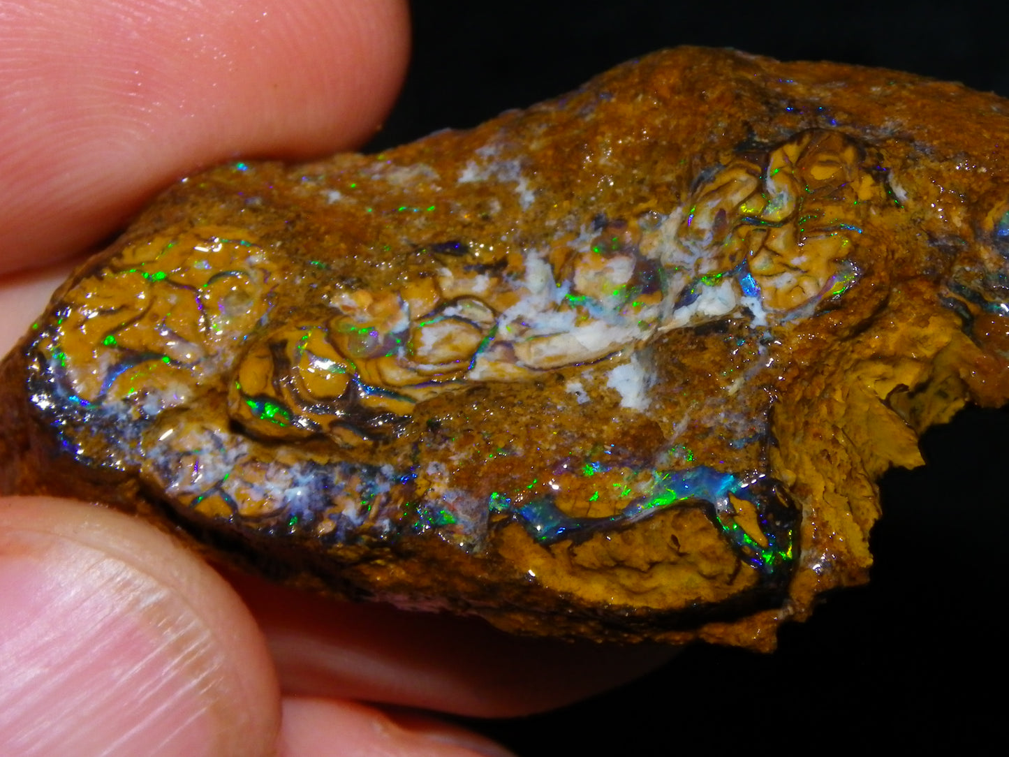 5 Nice Rough/Sliced Koroit Opals Queensland Australia 376cts Patterns/Fires