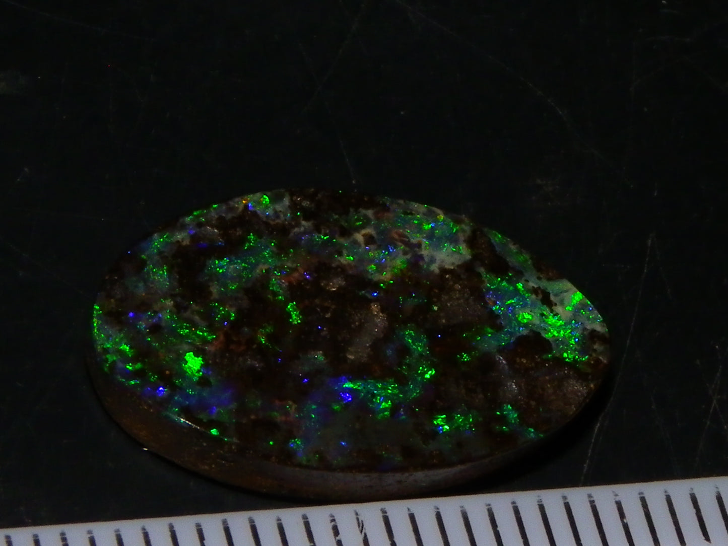 Nice Cut/Dremmel Polished Boulder Opal Cab 8.05cts Queensland Australia Green/Blues