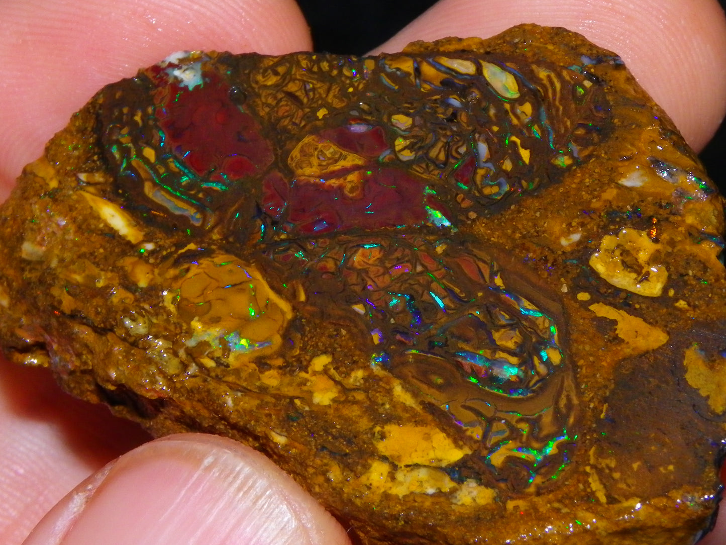 5 Nice Rough/Sliced Koroit Opals Queensland Australia 376cts Patterns/Fires