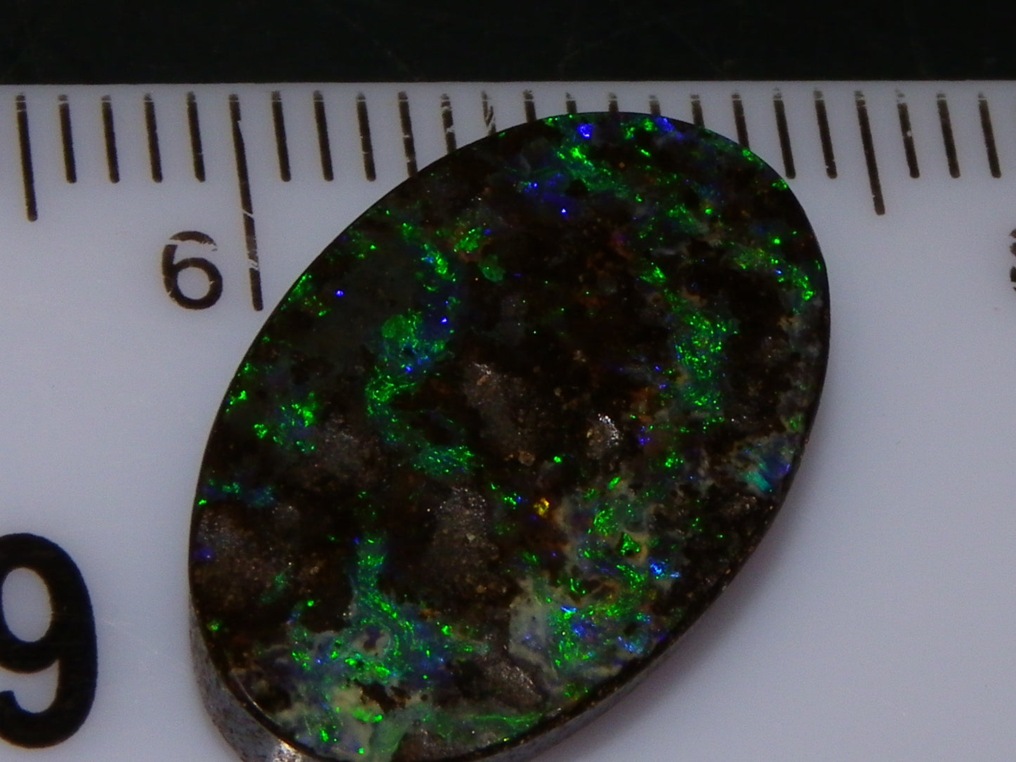 Nice Cut/Dremmel Polished Boulder Opal Cab 8.05cts Queensland Australia Green/Blues