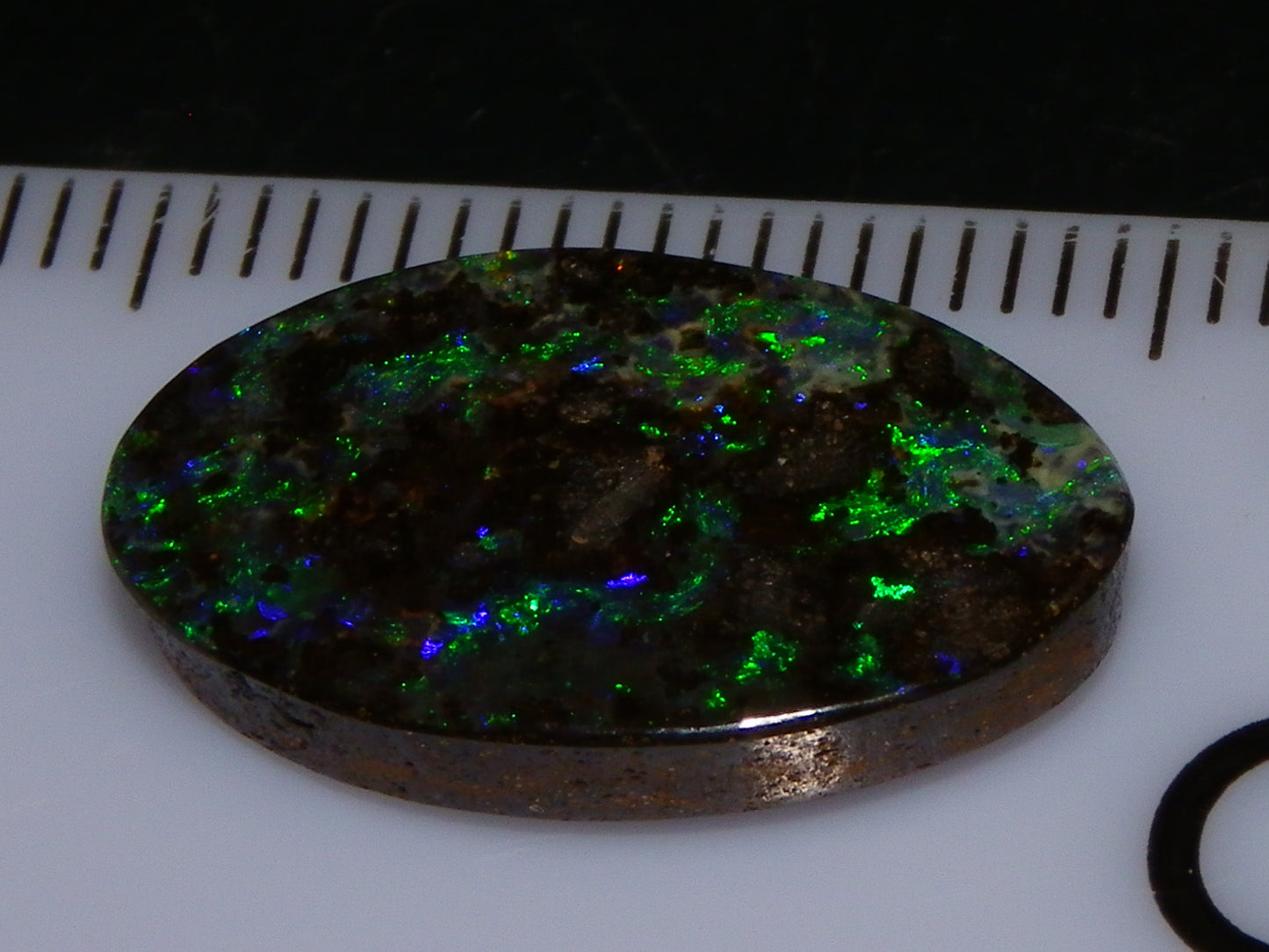 Nice Cut/Dremmel Polished Boulder Opal Cab 8.05cts Queensland Australia Green/Blues