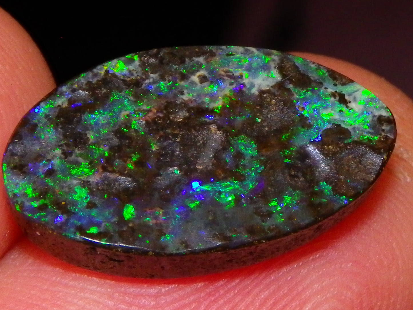 Nice Cut/Dremmel Polished Boulder Opal Cab 8.05cts Queensland Australia Green/Blues