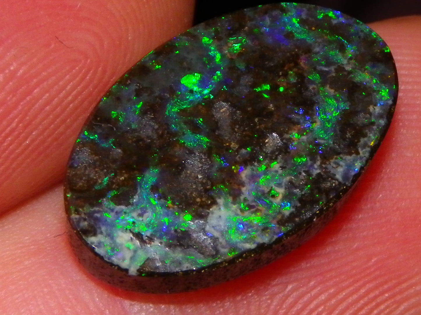 Nice Cut/Dremmel Polished Boulder Opal Cab 8.05cts Queensland Australia Green/Blues