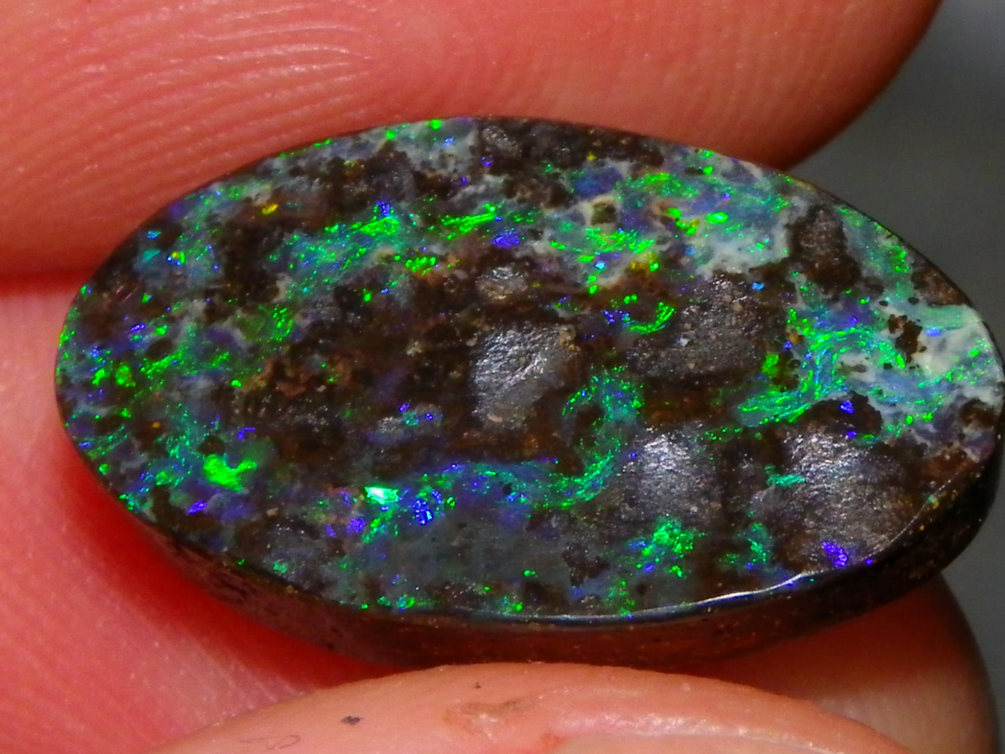 Nice Cut/Dremmel Polished Boulder Opal Cab 8.05cts Queensland Australia Green/Blues