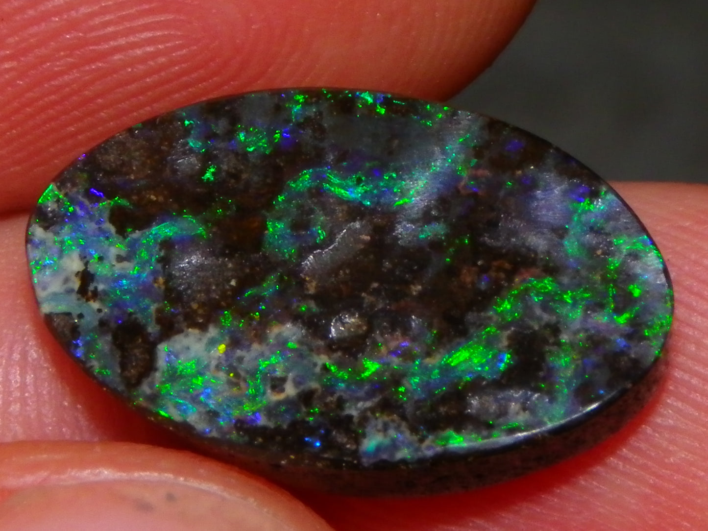 Nice Cut/Dremmel Polished Boulder Opal Cab 8.05cts Queensland Australia Green/Blues