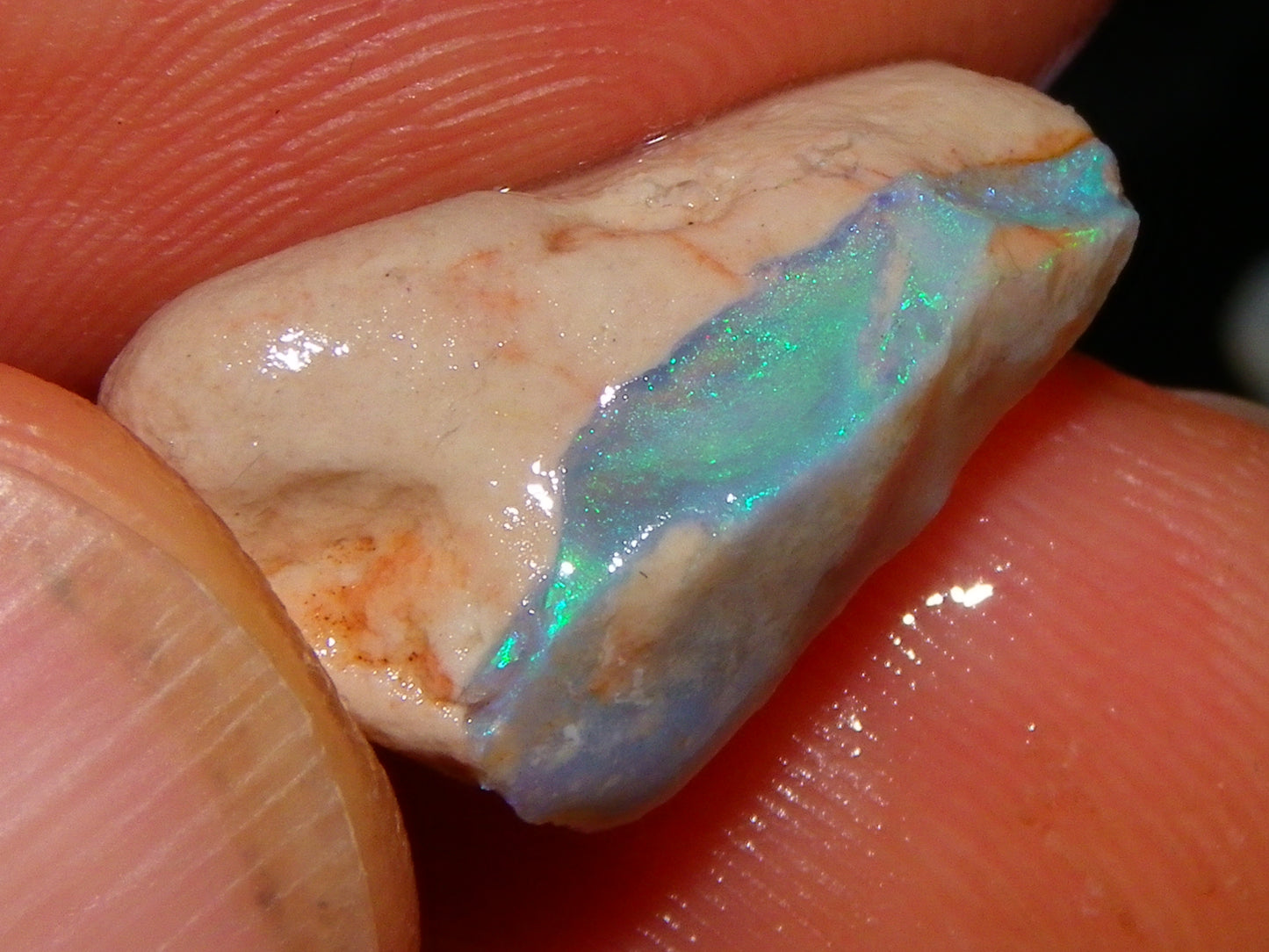 Nice Rough, 1 Rubbed Opals Lightning Ridge 86.5cts Australia Seam Blue/Greens