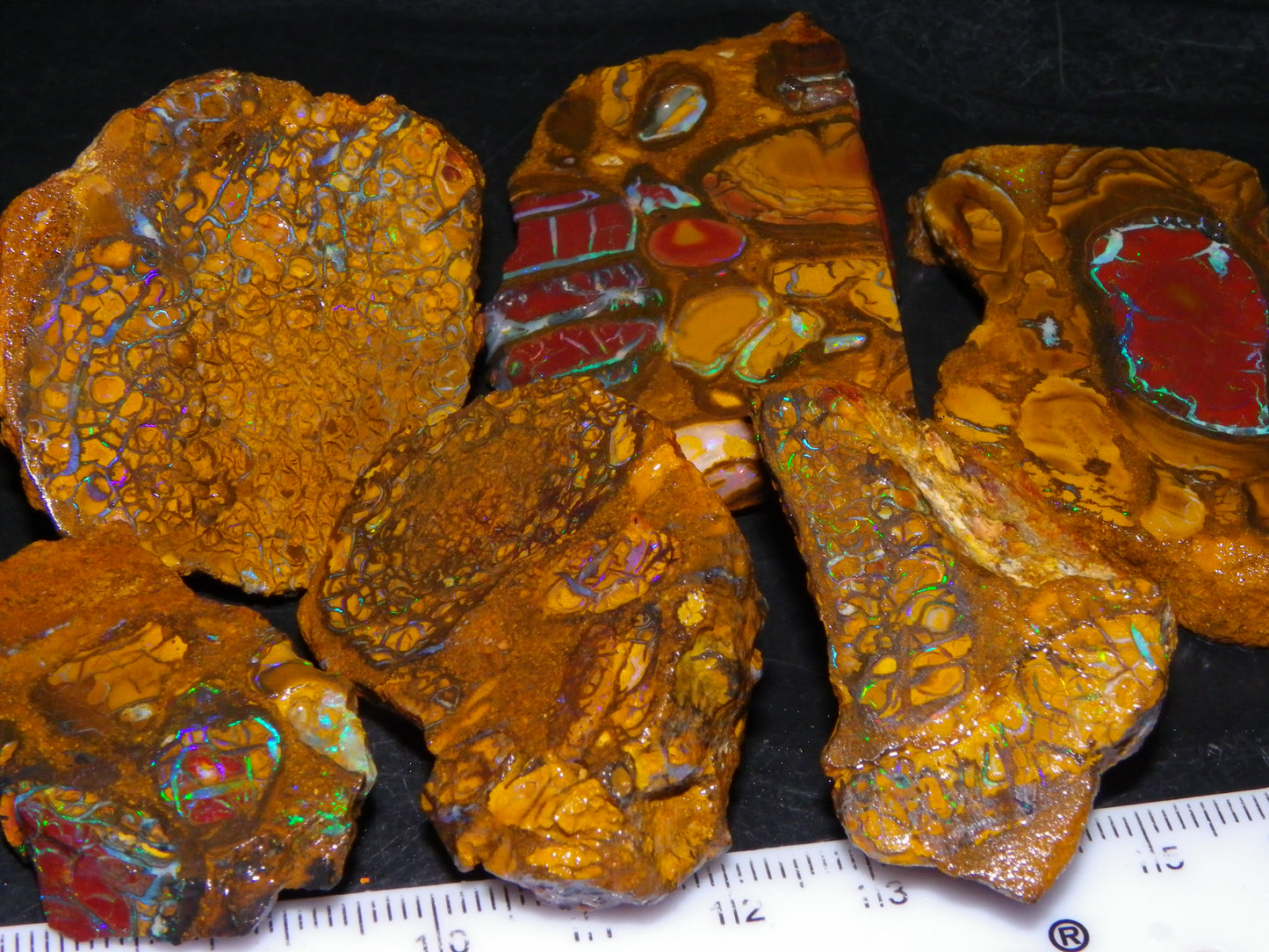 Nice Rough/Sliced Koroit Opal Parcel 691cts Nuts/Patterns/Fires Queensland Australia