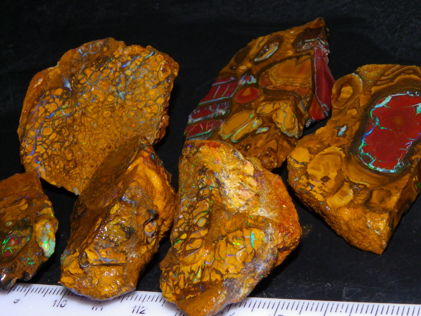 Nice Rough/Sliced Koroit Opal Parcel 691cts Nuts/Patterns/Fires Queensland Australia