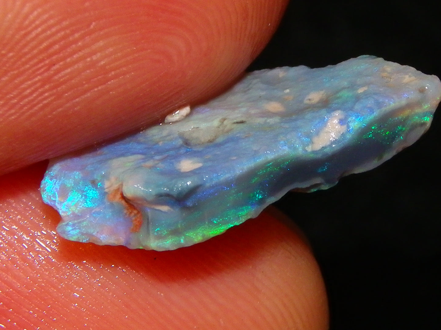 Nice Rough, 1 Rubbed Opals Lightning Ridge 86.5cts Australia Seam Blue/Greens