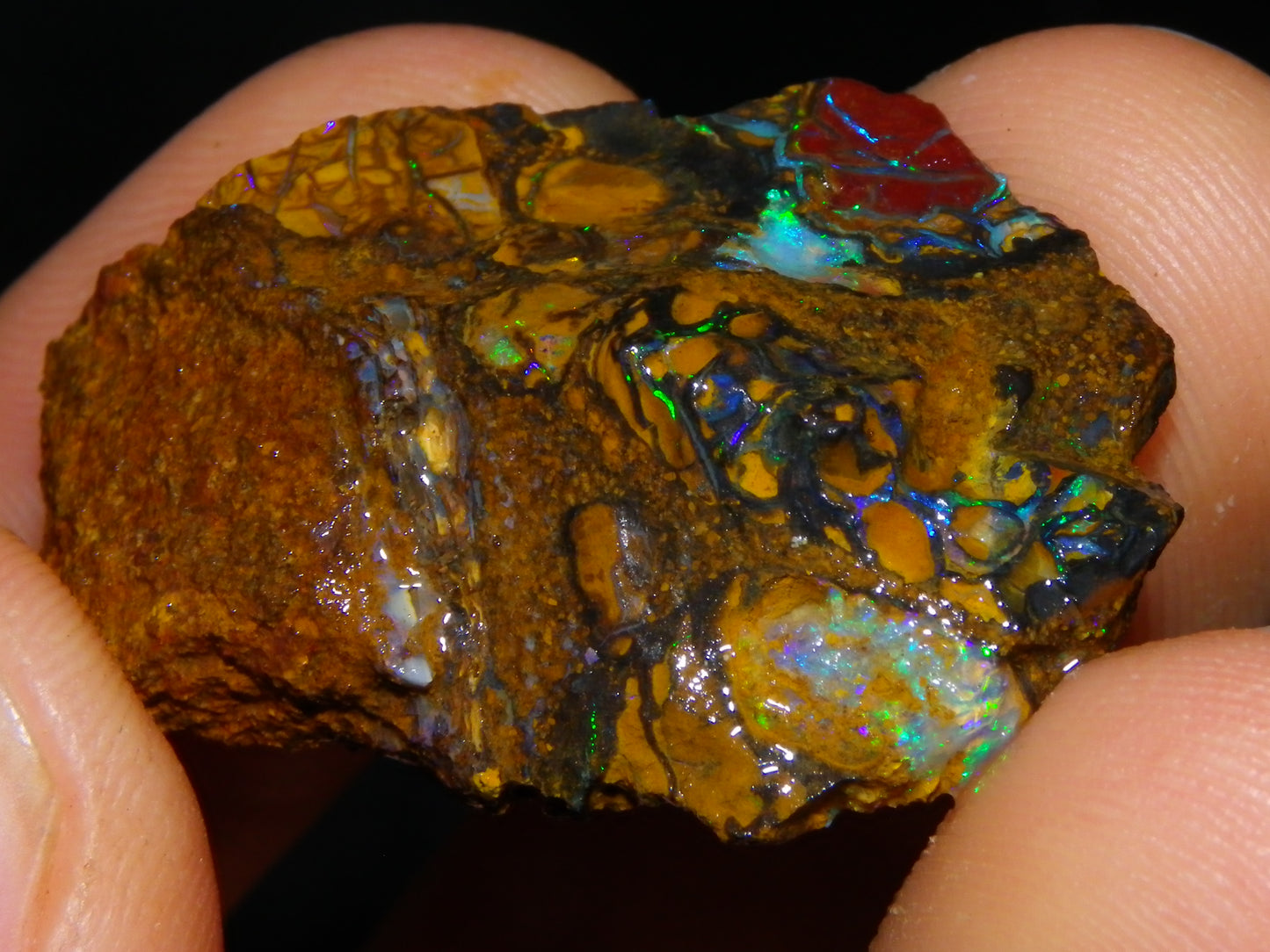 Nice Rough/Sliced Koroit Opal Parcel 691cts Nuts/Patterns/Fires Queensland Australia