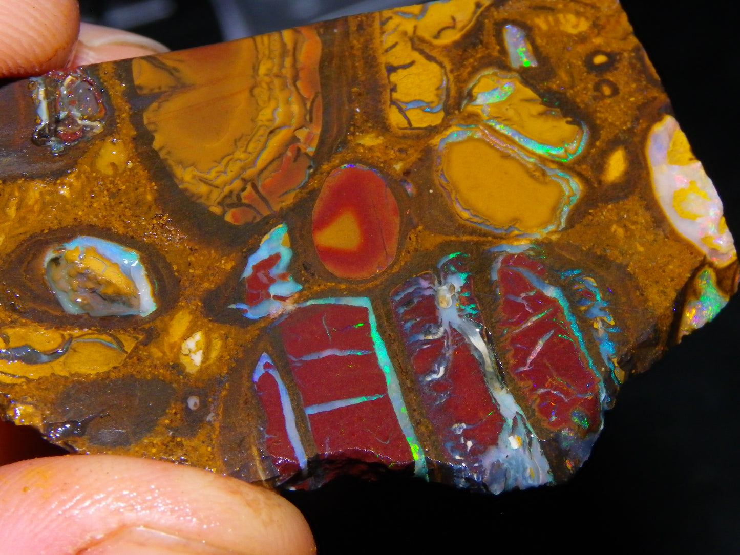 Nice Rough/Sliced Koroit Opal Parcel 691cts Nuts/Patterns/Fires Queensland Australia