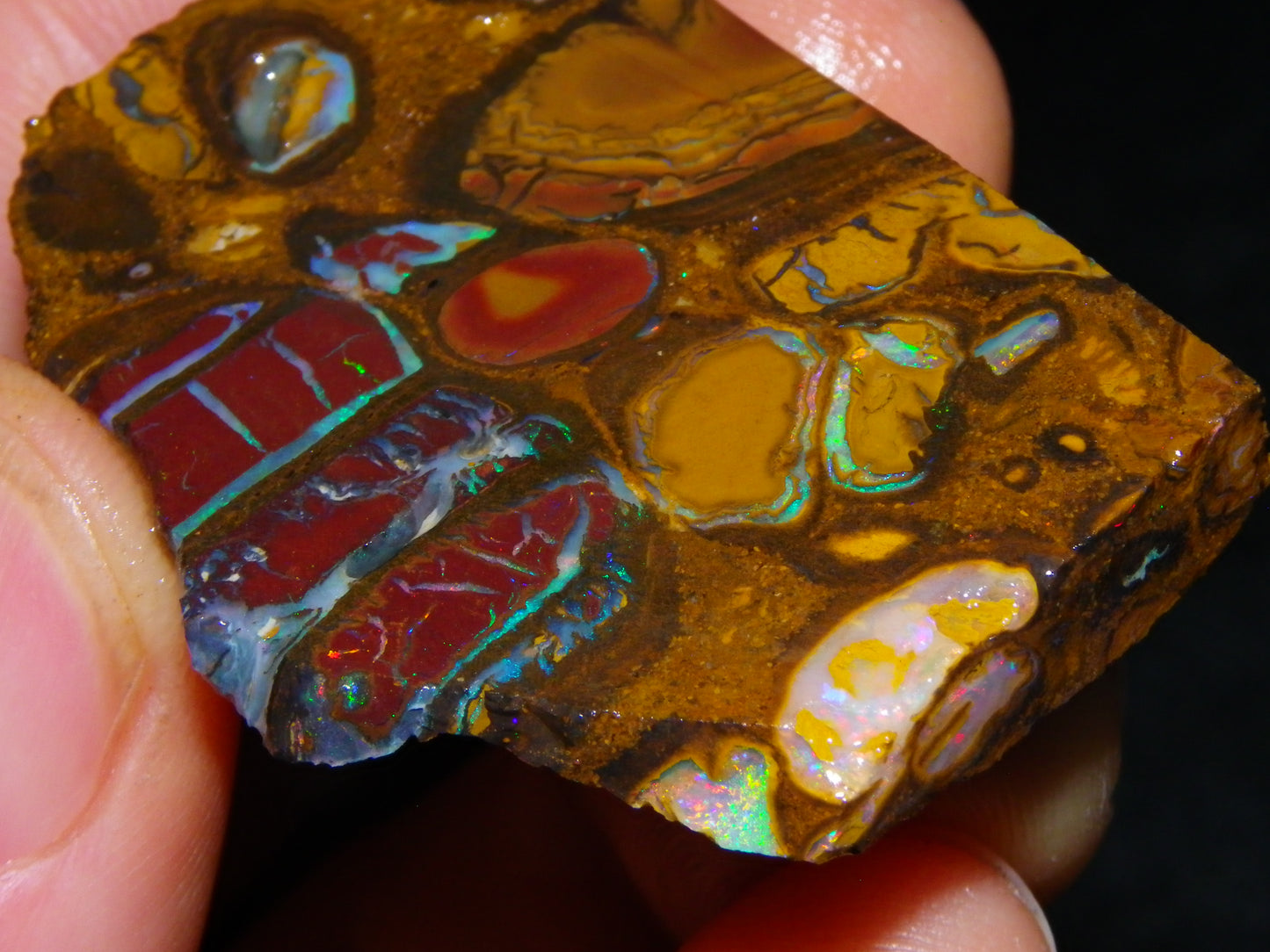 Nice Rough/Sliced Koroit Opal Parcel 691cts Nuts/Patterns/Fires Queensland Australia