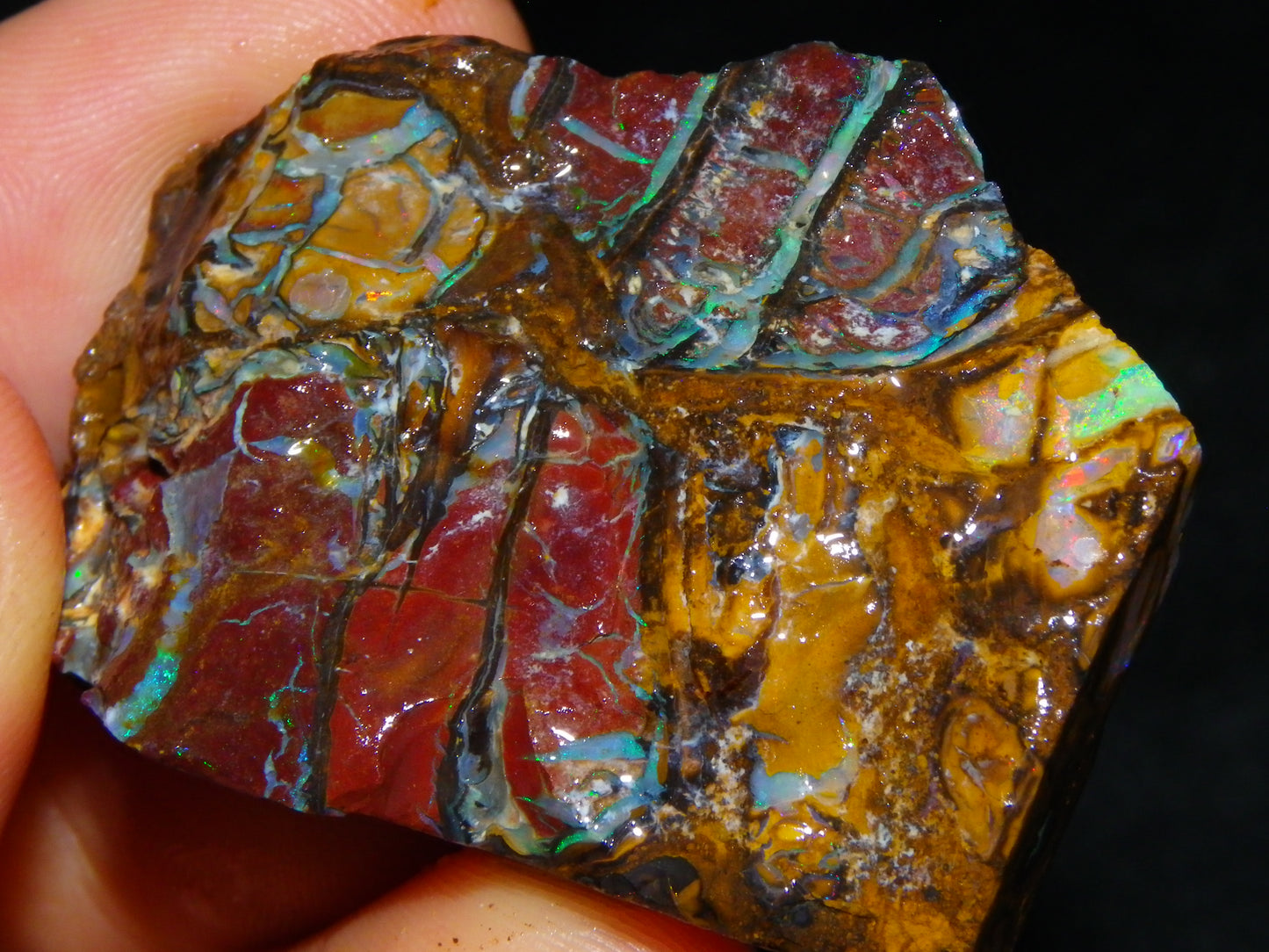 Nice Rough/Sliced Koroit Opal Parcel 691cts Nuts/Patterns/Fires Queensland Australia