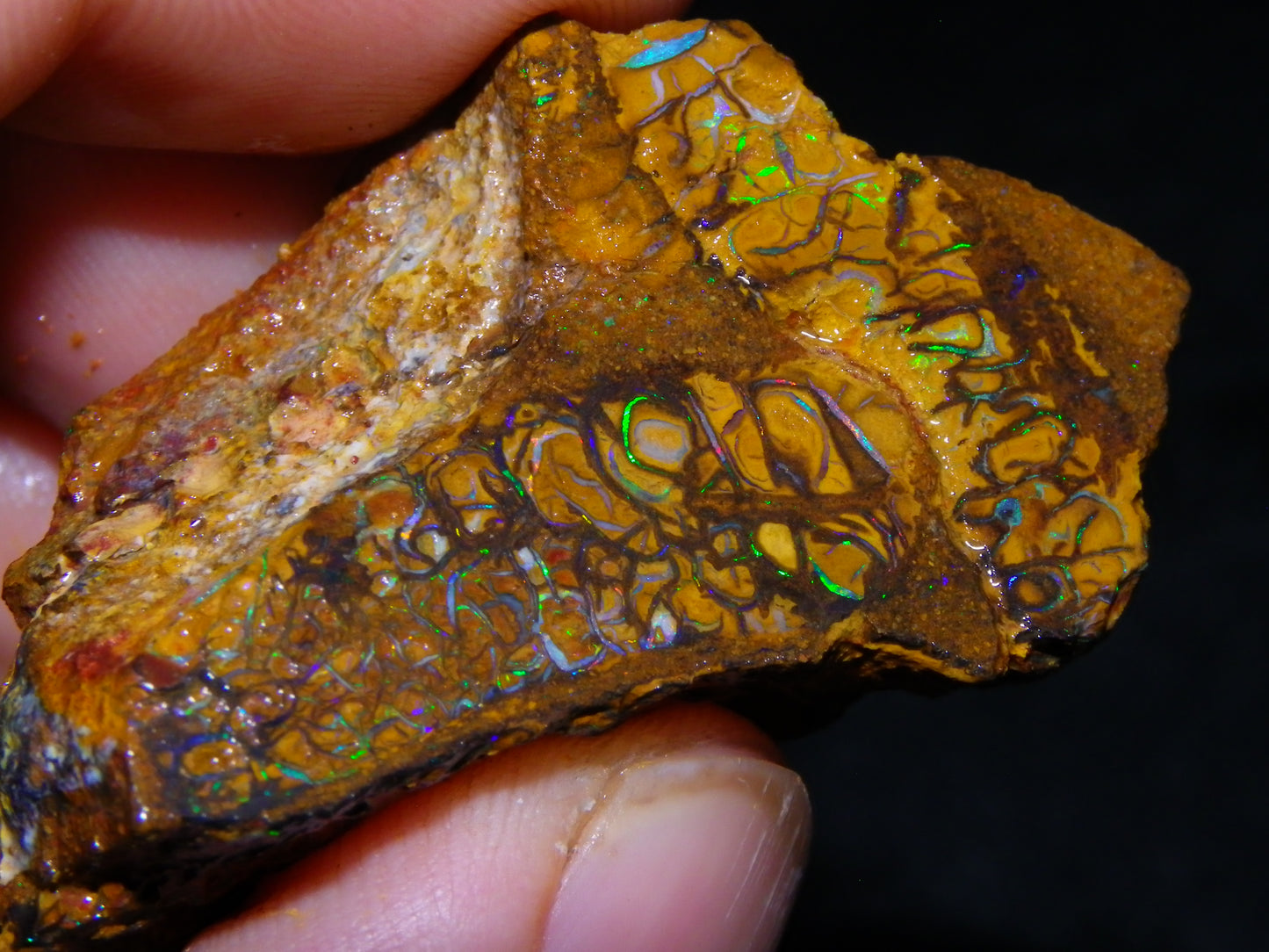 Nice Rough/Sliced Koroit Opal Parcel 691cts Nuts/Patterns/Fires Queensland Australia