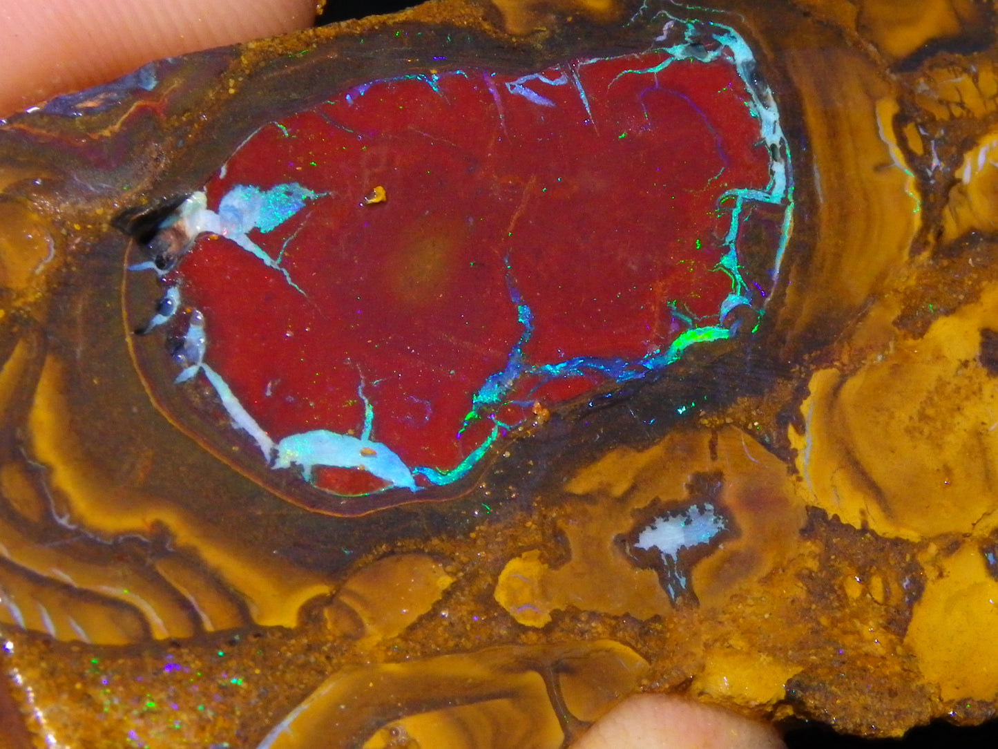 Nice Rough/Sliced Koroit Opal Parcel 691cts Nuts/Patterns/Fires Queensland Australia