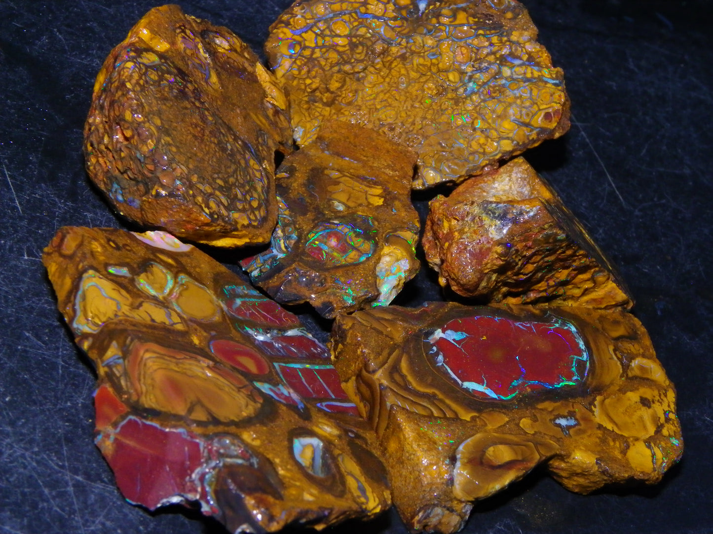 Nice Rough/Sliced Koroit Opal Parcel 691cts Nuts/Patterns/Fires Queensland Australia