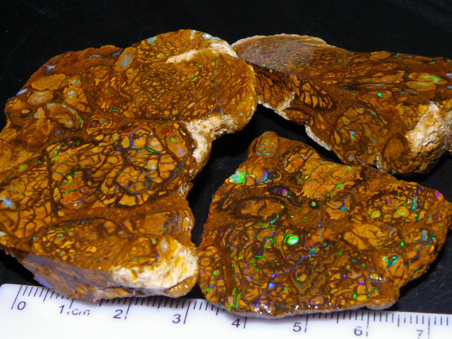 3 Nice Rough/Sliced Koroit Opals 612cts Queensland Australia Green/Blues/Patterns/Nuts