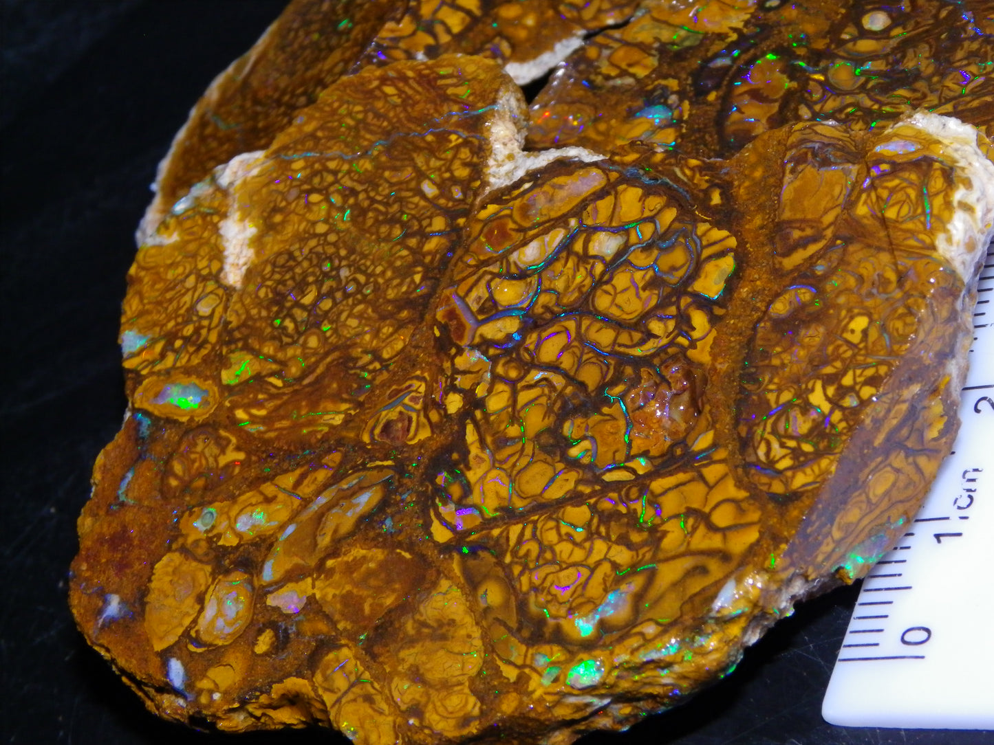 3 Nice Rough/Sliced Koroit Opals 612cts Queensland Australia Green/Blues/Patterns/Nuts