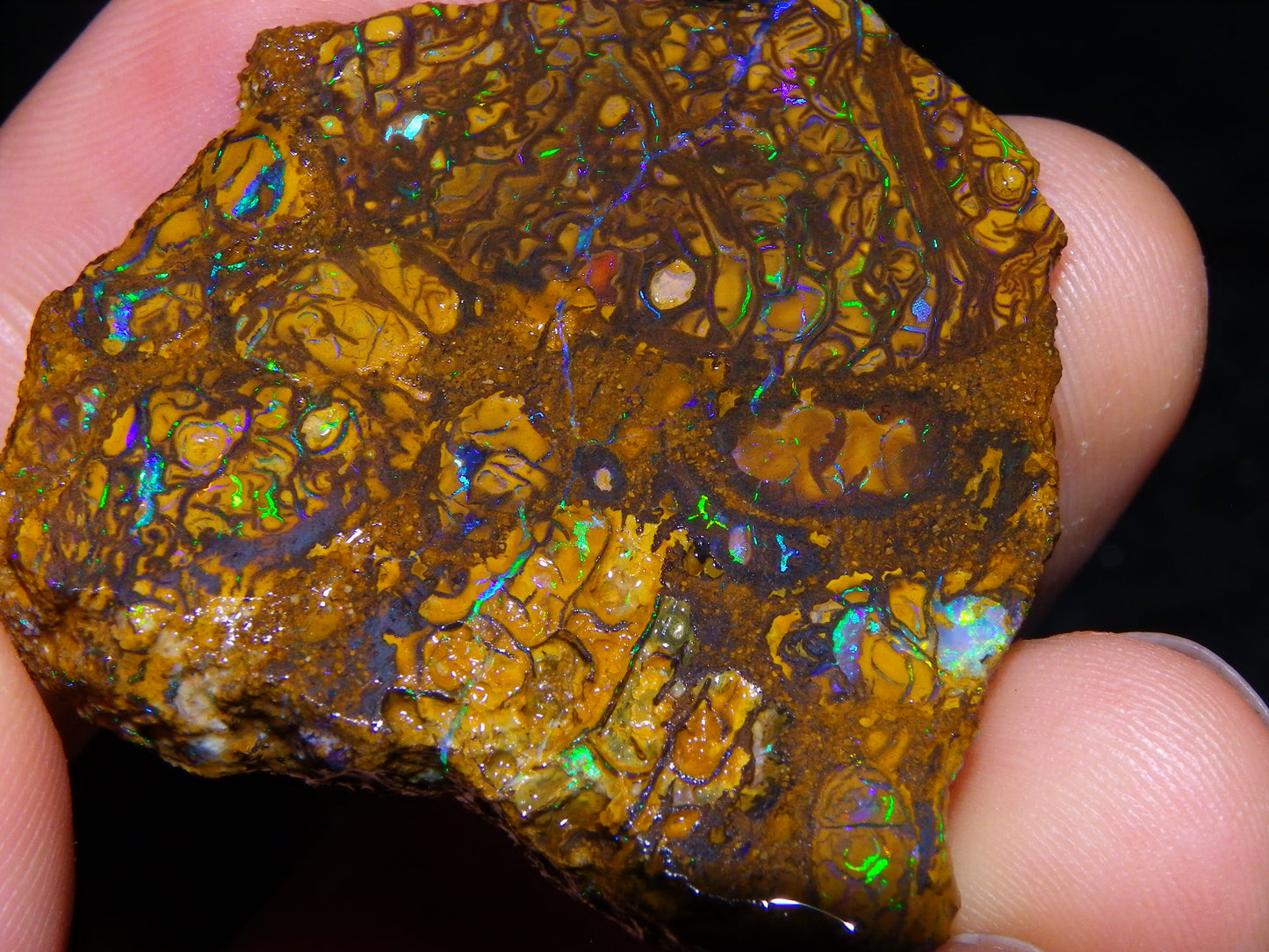 3 Nice Rough/Sliced Koroit Opals 612cts Queensland Australia Green/Blues/Patterns/Nuts