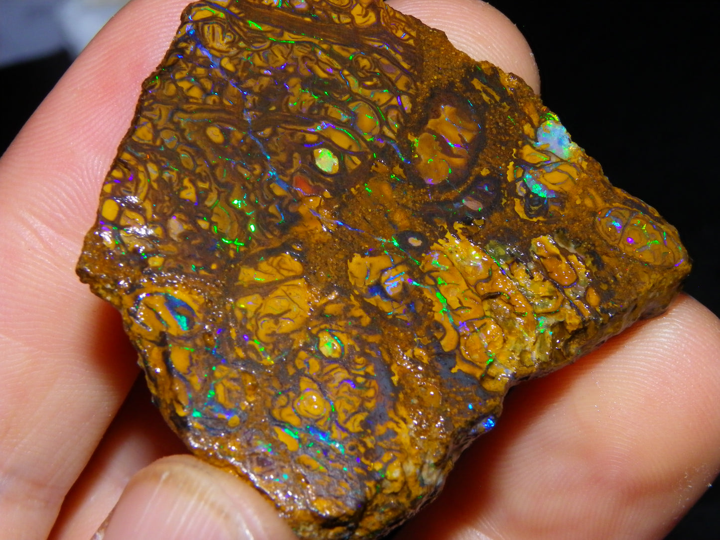 3 Nice Rough/Sliced Koroit Opals 612cts Queensland Australia Green/Blues/Patterns/Nuts