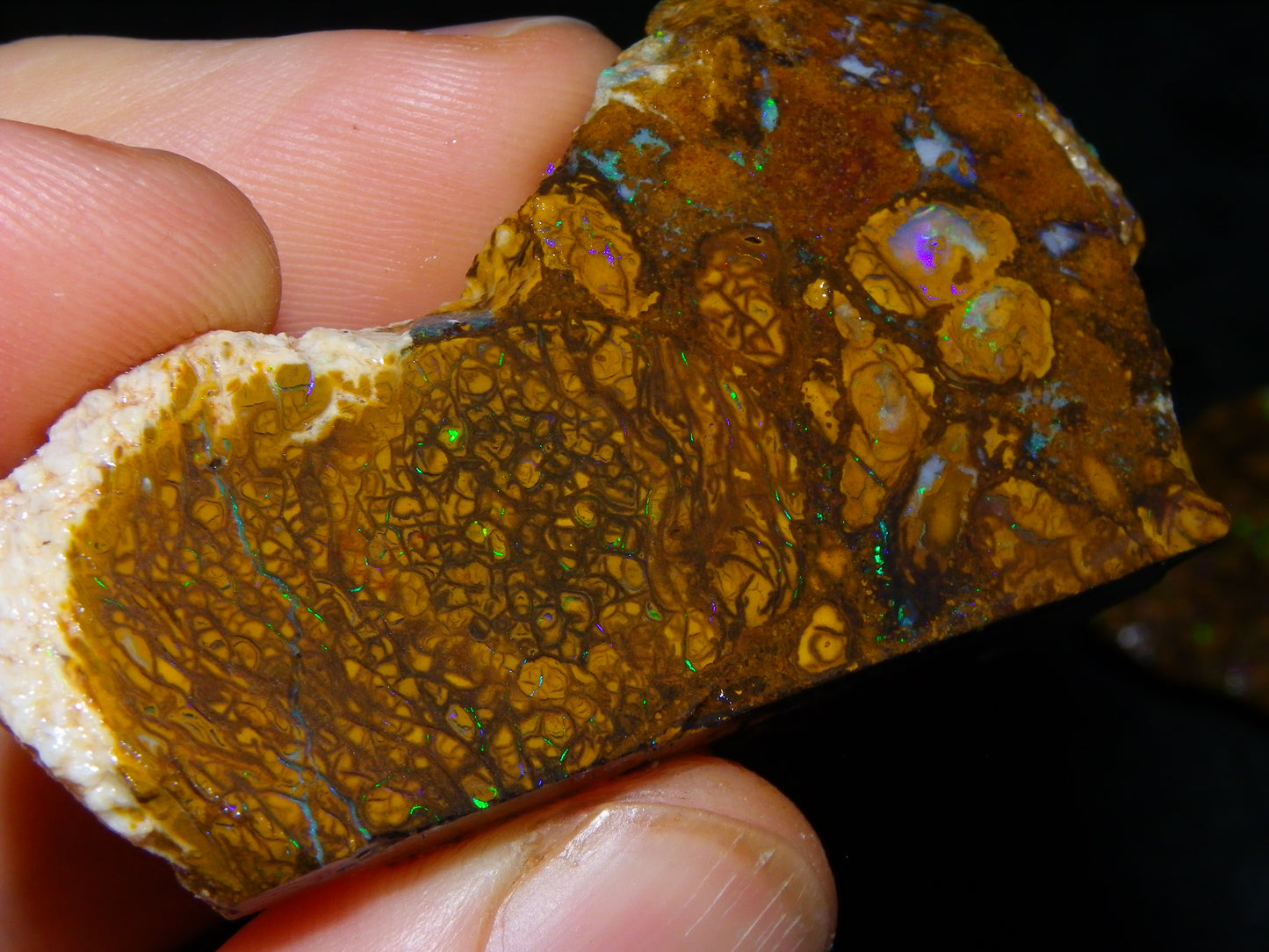 3 Nice Rough/Sliced Koroit Opals 612cts Queensland Australia Green/Blues/Patterns/Nuts