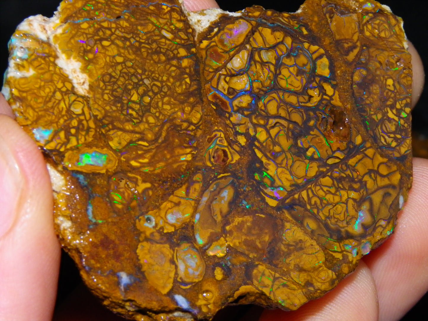 3 Nice Rough/Sliced Koroit Opals 612cts Queensland Australia Green/Blues/Patterns/Nuts