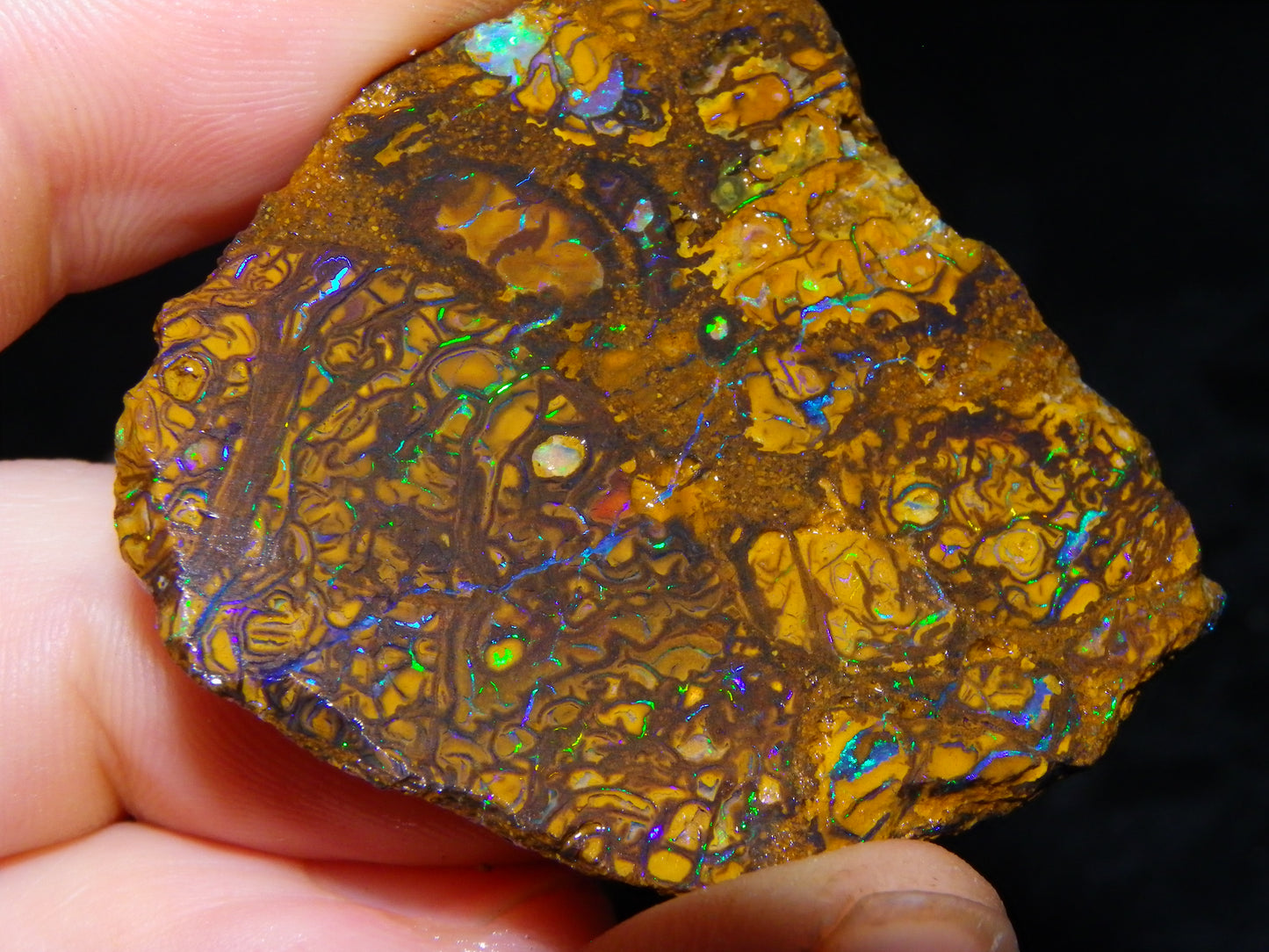 3 Nice Rough/Sliced Koroit Opals 612cts Queensland Australia Green/Blues/Patterns/Nuts