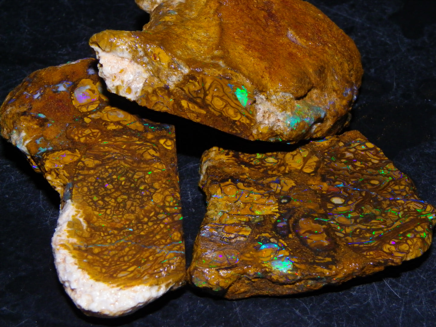 3 Nice Rough/Sliced Koroit Opals 612cts Queensland Australia Green/Blues/Patterns/Nuts