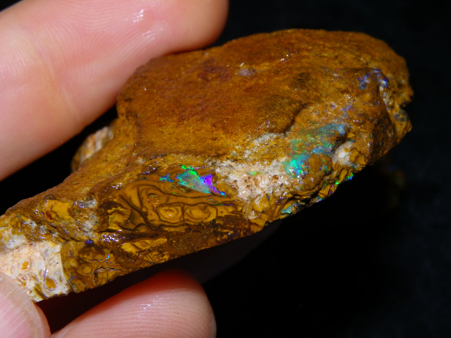 3 Nice Rough/Sliced Koroit Opals 612cts Queensland Australia Green/Blues/Patterns/Nuts