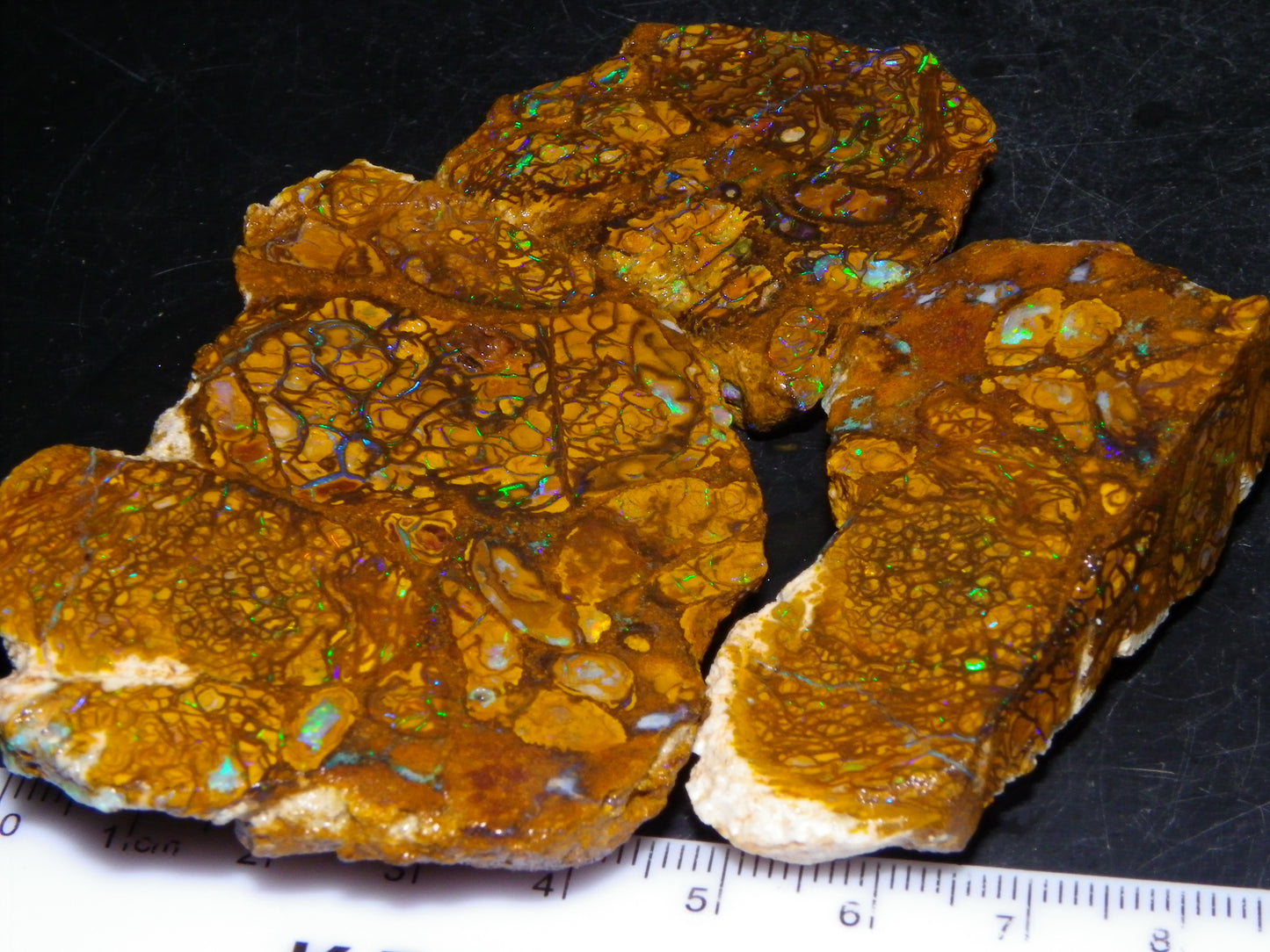 3 Nice Rough/Sliced Koroit Opals 612cts Queensland Australia Green/Blues/Patterns/Nuts