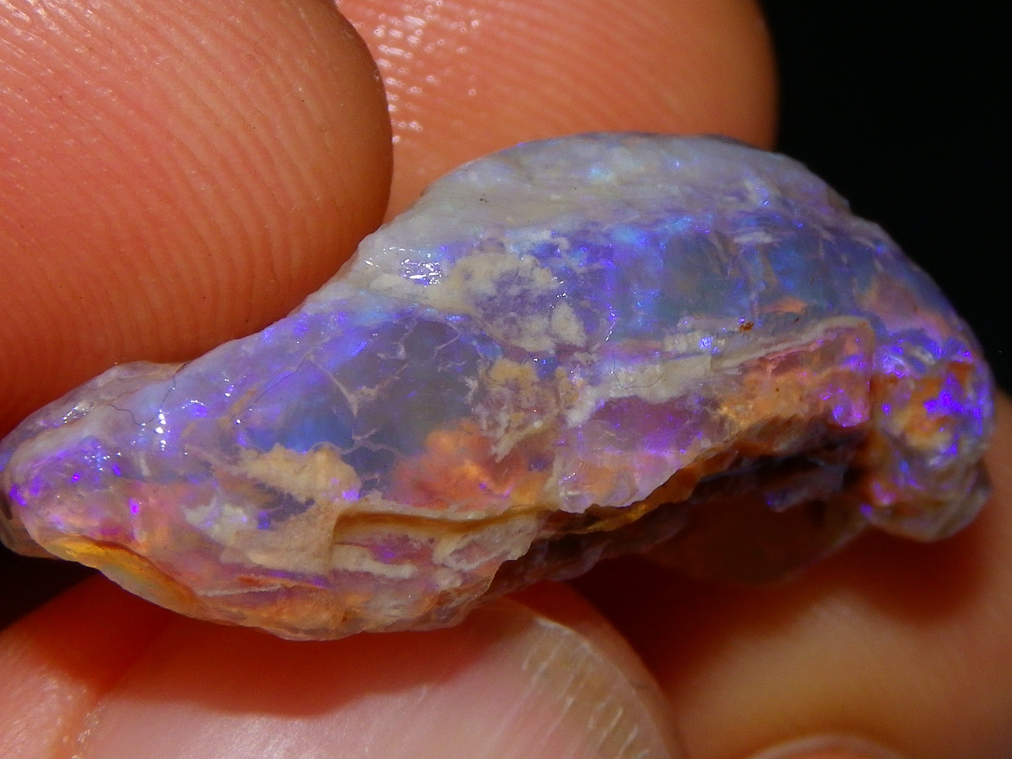 Nice Quality Lightning Ridge Crystal Opal Shell Specimen 27.7cts Bright Blue/Purples