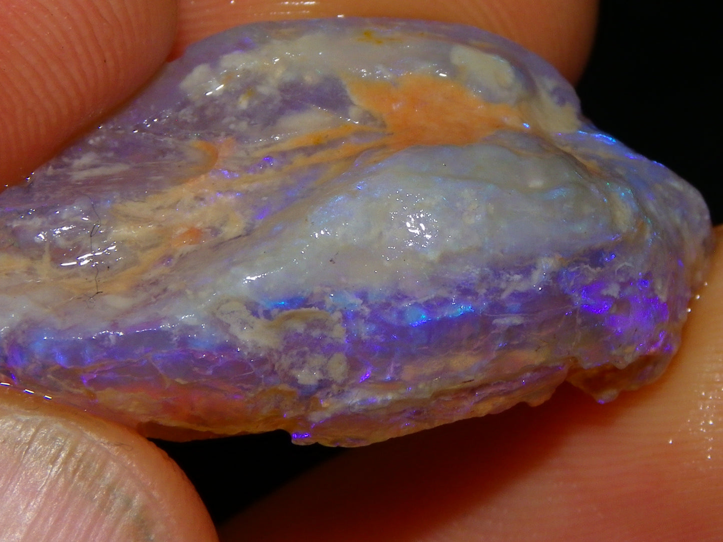 Nice Quality Lightning Ridge Crystal Opal Shell Specimen 27.7cts Bright Blue/Purples